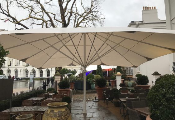 Large white parasol over outdoor seating area, with potted plants and trees nearby.